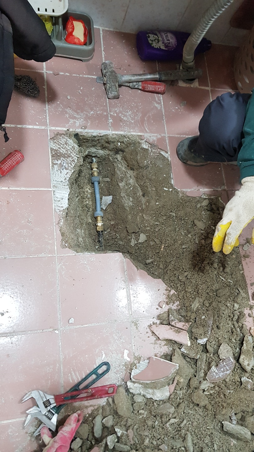 2049928719_1lsnrRQK_0937ca6206aa21025ef273eaac44527642d53f51.jpg 이미지크게보기