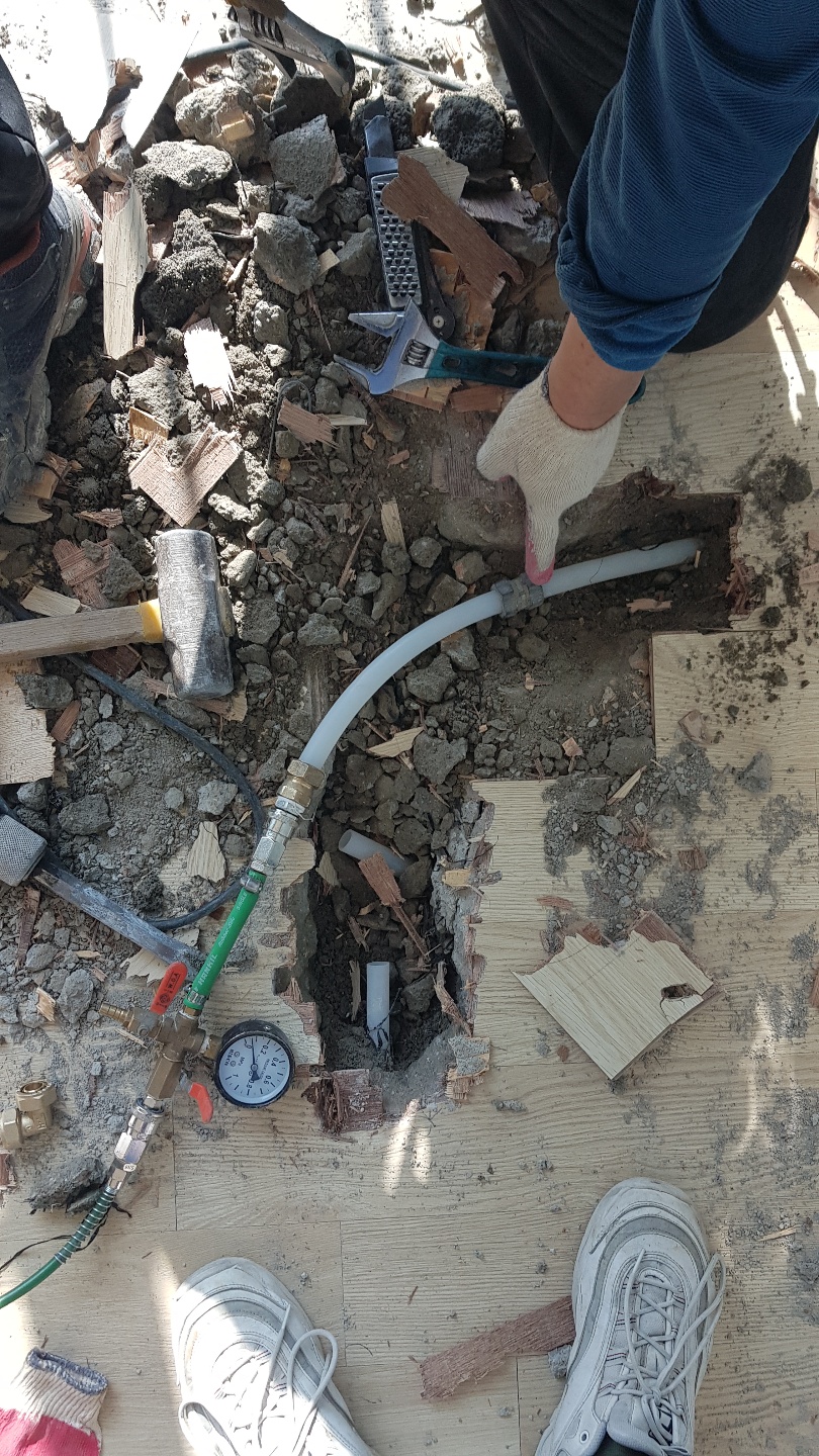 2049928719_aXfxn5oU_56e21906b078875b3d3887ab81ce8631f3788f70.jpg 이미지크게보기