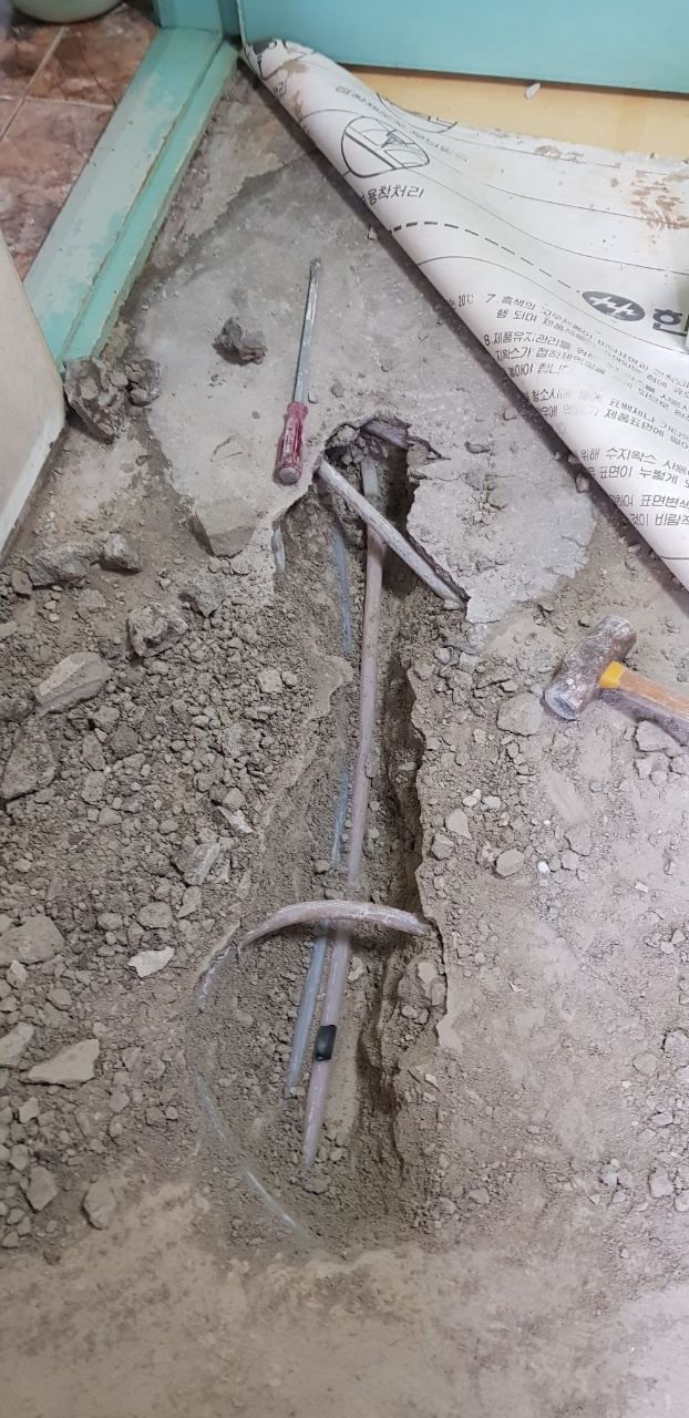 2049928719_bGgnSH2q_dfb7e0ac3c02884d0f78ef8d91f54c0af42e28e7.jpg 이미지크게보기