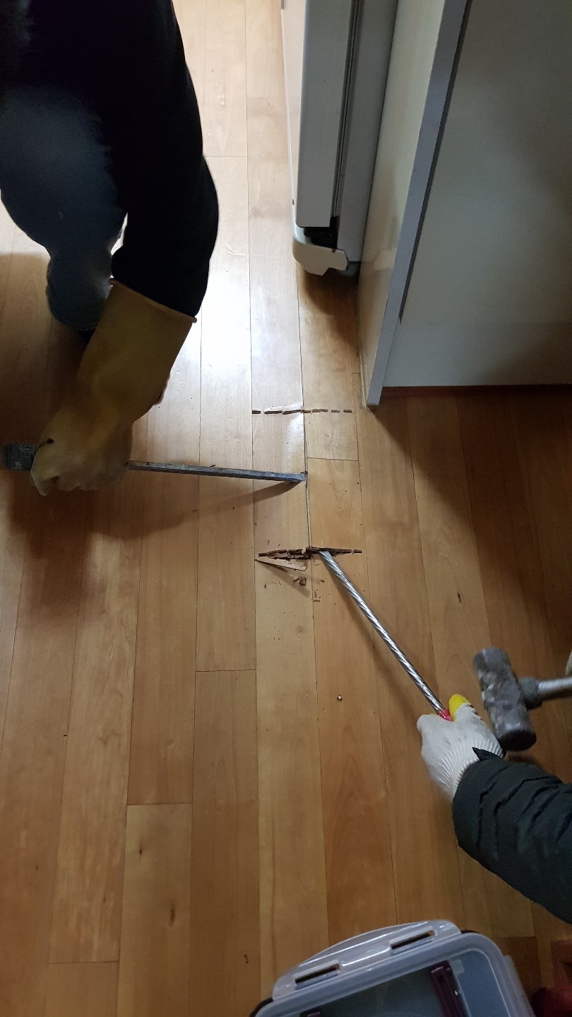 2049928719_cAo7lmBO_1be77b18481157b3e22f605e23dec183761ed114.jpg 이미지크게보기