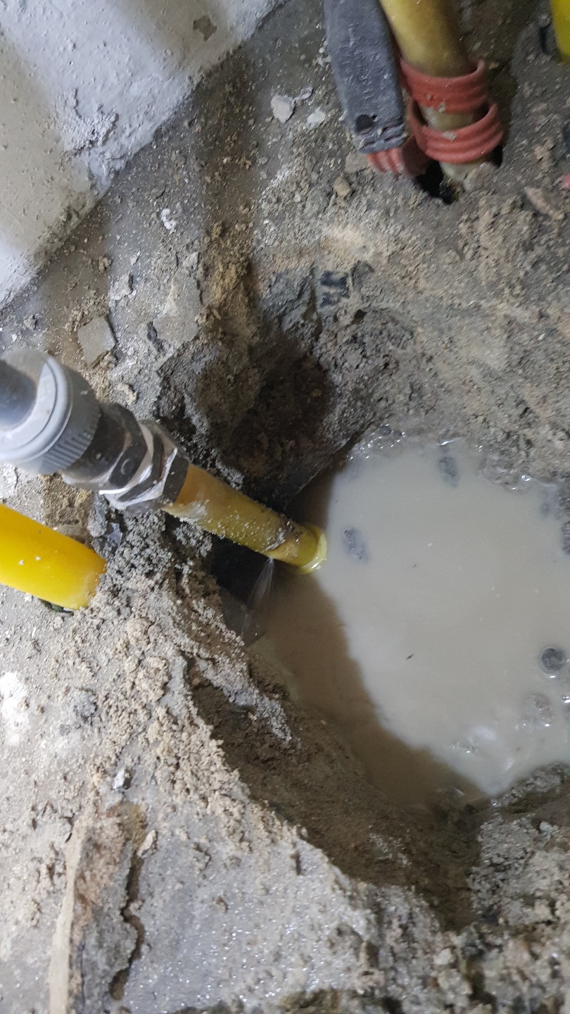 2049928719_cJrZPENG_c26580cbaa0b6ad84e1a7e01f8a247930908b466.jpg 이미지크게보기