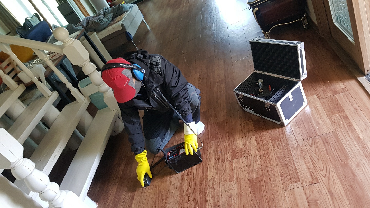 2049928719_zatiqD2H_9a04585abbadc84de964ed1d8186c3d77e014587.jpg 이미지크게보기