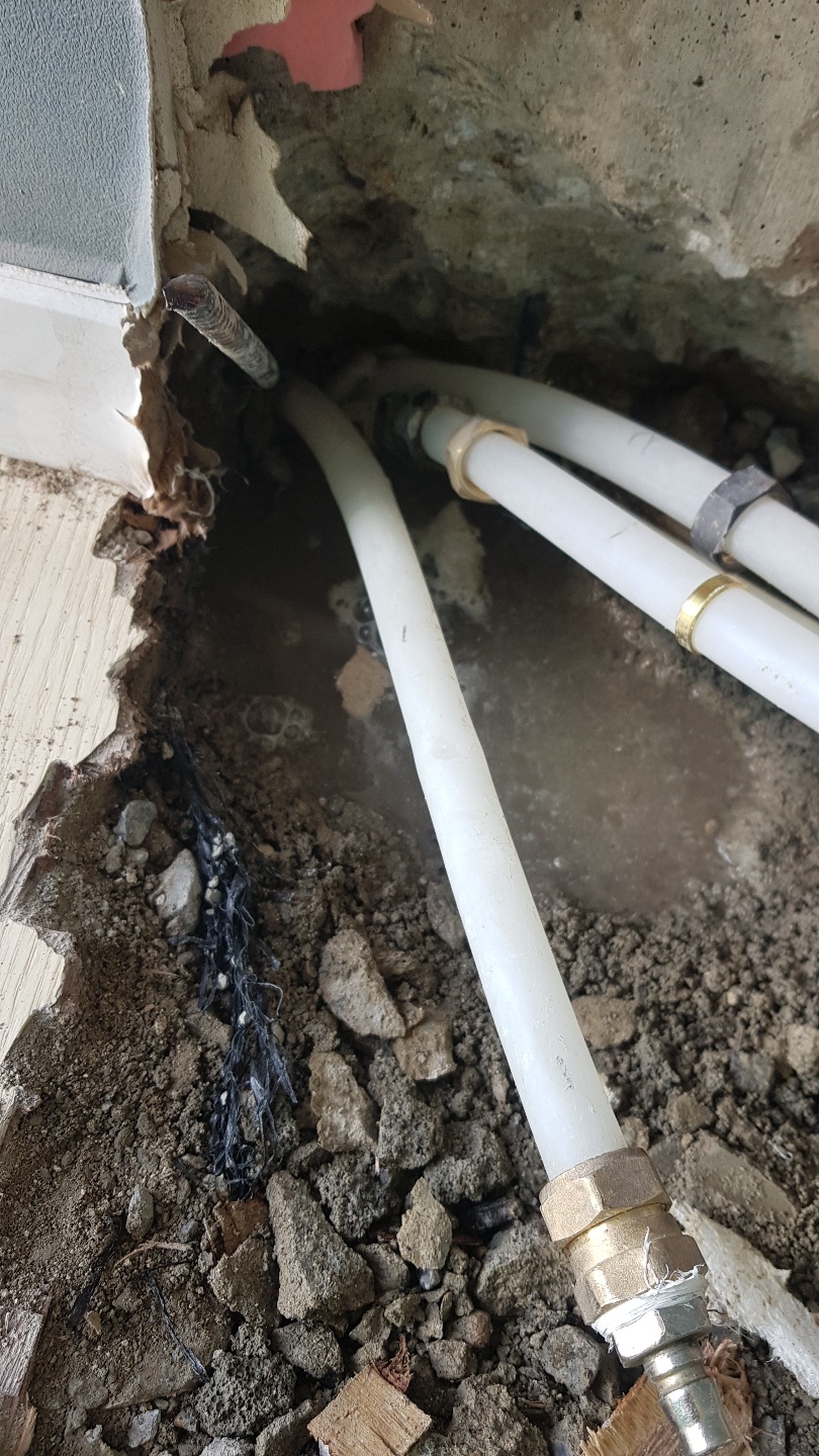 2049928719_zyWfVN01_0384e630c9e63fccd536ccf7ce570adf9a00b800.jpg 이미지크게보기