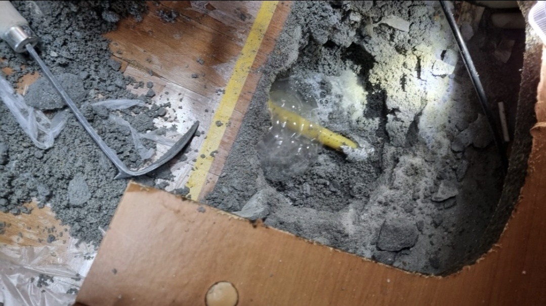 /user/m/mht/editor/2407/04f5713636eb7bceac34209f8ec3f905_1719819188_7442.jpg 이미지크게보기