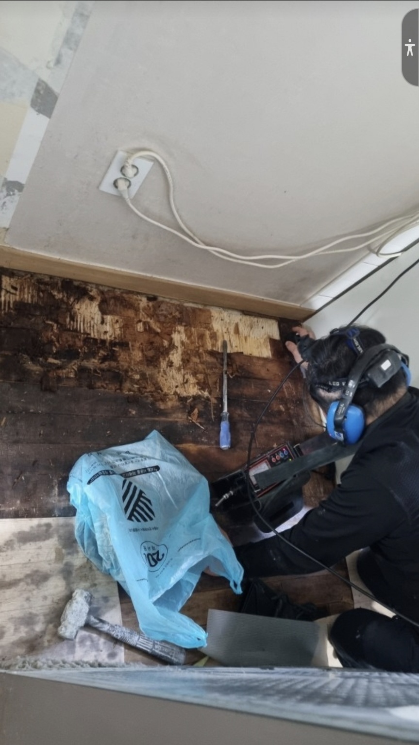 /user/m/mht/editor/2407/04f5713636eb7bceac34209f8ec3f905_1719819221_4023.jpg 이미지크게보기