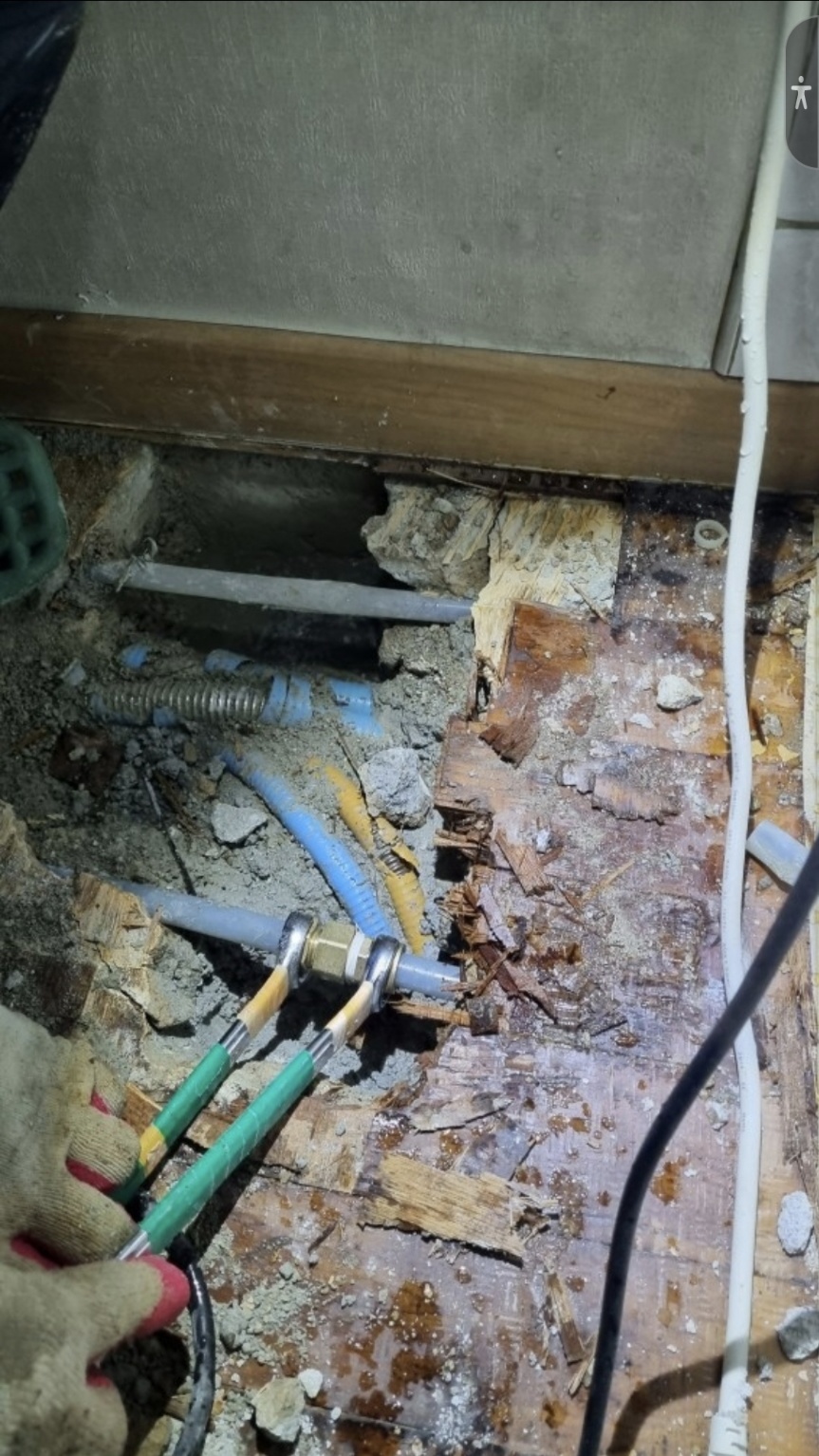 /user/m/mht/editor/2407/04f5713636eb7bceac34209f8ec3f905_1719819221_545.jpg 이미지크게보기