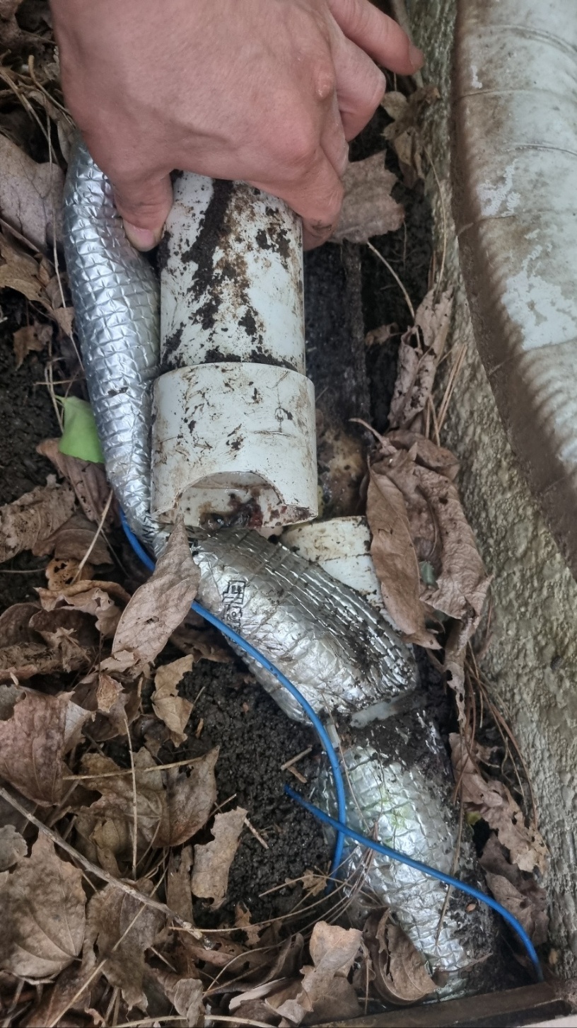 /user/m/mht/editor/2407/04f5713636eb7bceac34209f8ec3f905_1719819232_6363.jpg 이미지크게보기